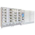 Cooling Locker Smart Refrigerated Locker For Community/Convenient Store/Shopping Mall Intelligent Fresh-Keeping Cabinet