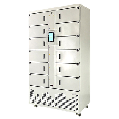 Smart Fresh Food Refrigerated Cooling Locker Intelligent Parcel Delivery Locker